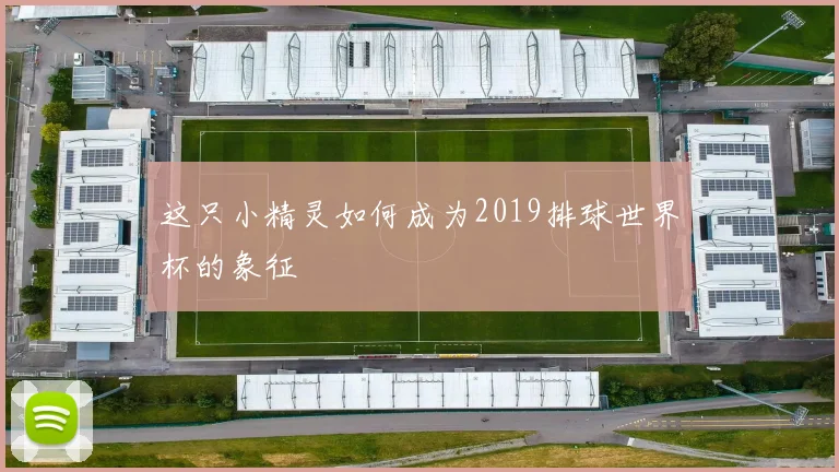 这只小精灵如何成为2019排球世界杯的象征
